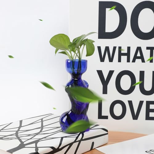 Propagation Vases for Plants Plant Propagation Jars Unique Body Avocado Vase Glass Planter Perfect for Seed Starting Water Rooting and Home Decor Gift for Father - color: Blue