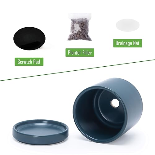 D'vine Dev Set of 4 Small Ceramic Plant Pots, 3.5 Inch Succulent Planter Pot for Plants with Drainage Hole and Saucer, Teal, 94-X-A-9 - color: Teal, size: 3.5 Inch