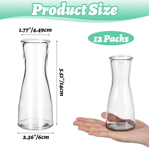 12 Pieces Glass Bud Vases for Centerpieces Clear Bulk Small Flowers Vases, Modern Minimalist Cute Decorative Table Centerpieces for Decor Wedding Birthday Party Home Living Room