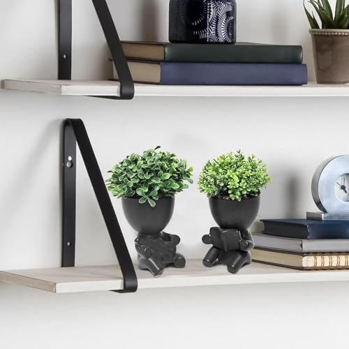 Zerzsy Desk Decorations for Women Office Small Office Desk Decor - Decorative Plants - Bathroom Shelf Decor Accent Women Cute Cubicle Accessories - Set of 2 - color: Black