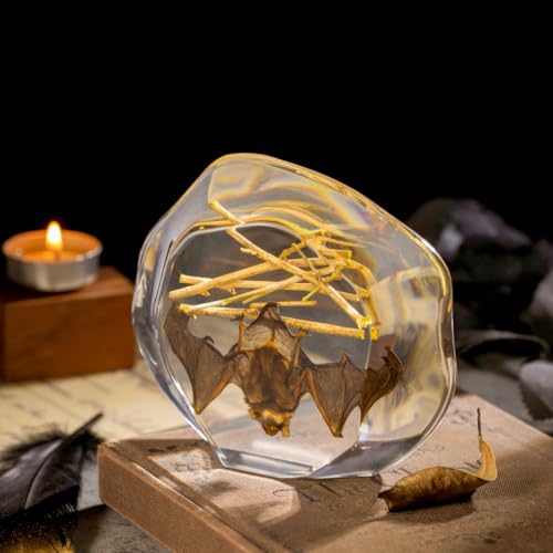 Real Hanging Bat Specimen in Resin - Authentic Taxidermy Displaying Natural Behavior, Perfect for Science Education, Oddities Collectors, and Unique Art Decor - color: Inverted Bat Specimen