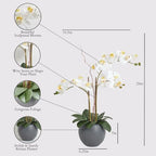 CG Hunter Faux White Orchid Plant, Premium Artificial Indoor Flower Display Stands 25-Inches with Beautiful Sculptural Blooms and Foliage That Lasts Forever, Grey Planter Pot Included - size: 25" White Double Stem