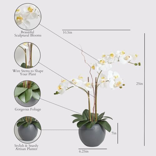 CG Hunter Faux White Orchid Plant, Premium Artificial Indoor Flower Display Stands 25-Inches with Beautiful Sculptural Blooms and Foliage That Lasts Forever, Grey Planter Pot Included - size: 25" White Double Stem