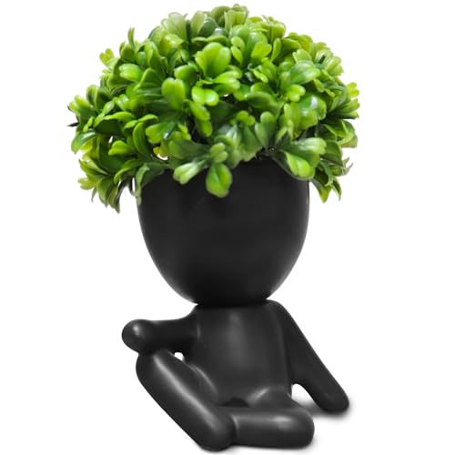 Zerzsy Fake Succulent, Mini Succulents Plants Desk Plant for Office Decor for Women, Cute Fake Plants Bathroom Decor- Set of 1 - color: Black-j
