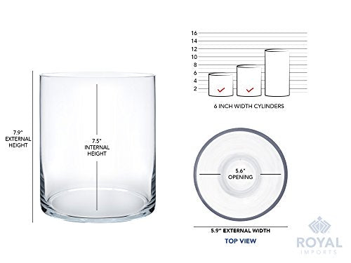 Royal Imports Flower Glass Vase Decorative Centerpiece for Home or Wedding - Cylinder Shape, 8" Tall, 6" Opening, Clear - size: 6" wide x 8" tall
