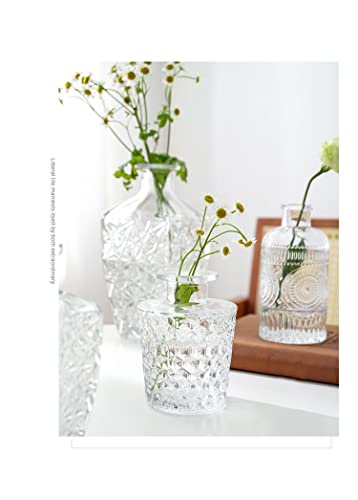 Set of 3 Mini Clear Glass Vase,Small Flower Bud Vase Hydroponics Planter Decorative for Flower,Table,Party,Home,Centerpieces(Clear 2) - color: Clear 2