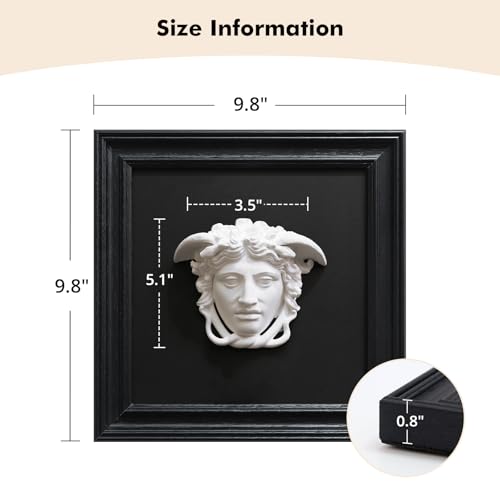 FOLKOR LIFE Medusa Wall Sculpture, 3D Medusa Relief Black and White Wall Art, Classical Greek Goddess Wall Hanging Sculpture for Living Room, Bedroom, Gothic or Modern Home Decor - color: Head of Medusa