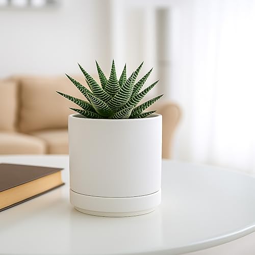 D'vine Dev Set of 2 Plants Pot, 4.7 Inch Ceramic Planter Pot for Plants with Drainage Hole and Saucer, White, 94-V-B-1 - color: White, size: 4.7 Inch
