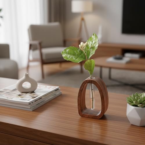 Solid Wood Frame Glass Test Tube Vase Desk Hydroponic Plant, Enhances Home and Office Environment, Small Size (Small) - size: Small