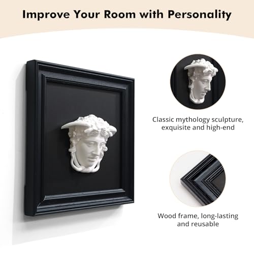 FOLKOR LIFE Medusa Wall Sculpture, 3D Medusa Relief Black and White Wall Art, Classical Greek Goddess Wall Hanging Sculpture for Living Room, Bedroom, Gothic or Modern Home Decor - color: Head of Medusa