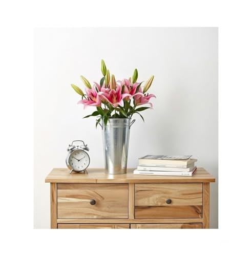 Hosley Set of 3 Galvanized French Bucket Vase with Handles 5" Dia x 9" H Ideal for Farmhouse Dried Floral Arrangements at Home for Weddings Gifts Spa and Aromatherapy Settings O5 - color: Galvanized 6