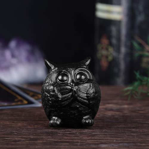 Nupuyai Hand Carved Owl Statue for Home Decor, Natural Black Obsidian Crystal Figurine Stone Sculpture Decoration for Fengshui - style: Owl