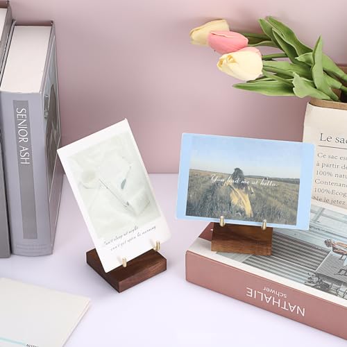 Hipiwe 2Pcs Wooden Base Display Stand Adjustable Metal Arms Display Stand Easel Decorative Plates Display Easel Holder for Crystal Fossil Slice Coral Geodes Rock Mineral Agate,Medium