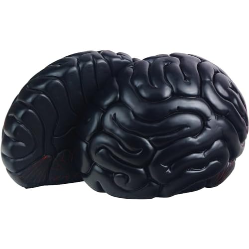 Brain Bookends, 6.5Inch Tall Brain Decorative Resin Book Shelf Organizers Book Holders Shelf Dividers Book Ends for Home or Office Shelves Brain Sculpture Bookend Set