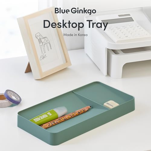 BLUE GINKGO Desk Tray – Korean-Made Organizer for Notes, Pens, Pencils, and Accessories (Double-sided, Green) - color: GREEN, size: TRAY