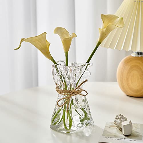 Irregular Shaped Vase for Flower, Unique Matte Glass Vase with Rope Crinkle Paper Design Hydroponic Art Flower Vase for Wedding, Dinning, Bookshelf, Home Decoration or Gift(Transparent)