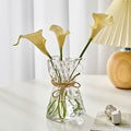 Irregular Shaped Vase for Flower, Unique Matte Glass Vase with Rope Crinkle Paper Design Hydroponic Art Flower Vase for Wedding, Dinning, Bookshelf, Home Decoration or Gift(Transparent)