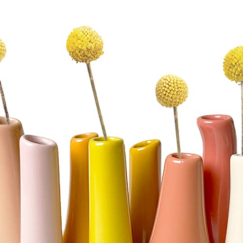 Chive - Pooley 2, Ceramic Flower Vase, 8-Tube Shape (Papaya, Yellow and Pink) - color: Papaya, Yellow and Pink