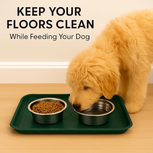 2 Pack Boot Tray & Shoe Mat for Entryway – 16.5" x 12.5" Floor Protector for Wet & Muddy Shoes, Pets, Plants – Waterproof Plastic with Raised Edge for Indoor/Outdoor Use (Green) - color: Green