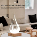 Storm Glass Weather Predictor - Drop-Shaped Forecast Home/Office Desktop Decoration, Christmas Snow Globe for Family Friends Unique Christmas Gifts, Weather Globe Science Decor