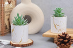 Der Rose Set of 2 Succulents Plants Artificial Mini Fake Succulents Plants for Home Office Desk Accessories for Women - color: 2-green