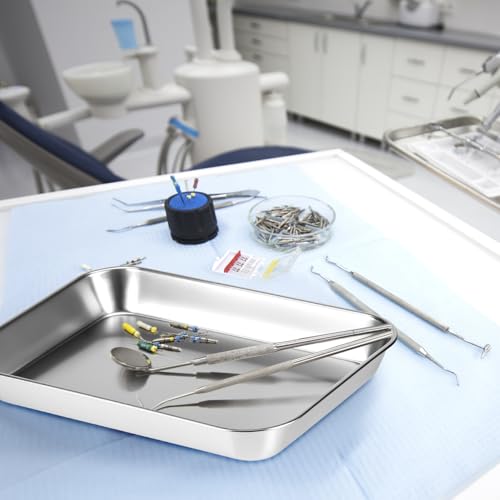 QWORK 2 Pack 304 Stainless Steel Utility Tray for Lab Supplies, Jewelry Tools, 8.6" x 6" x1"