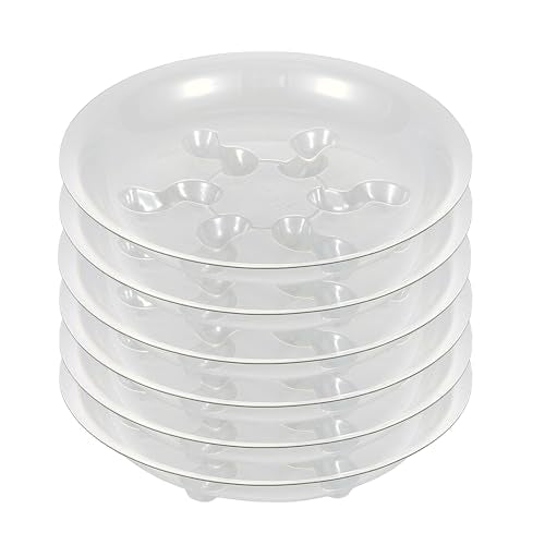6 Pack Heavy Duty Clear Plastic Plant Saucer Sturdy Pot Tray Plant Drip Trays Drip Trays for pots,Plant Water Catcher Tray,Plant Pot Saucers (8 INCH) - size: 8 INCH