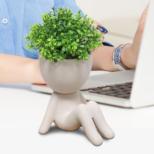 Zerzsy Fake Plants Artificial Succulents Plants for Room Bathroom Home Office Desk Accessories Decor - Set of 1 - color: Khaki-b