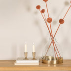 Creative Co-Op Sophisticated Glass Cloche with Metal Tray, Clear and Antique Brass - color: Antique Brass
