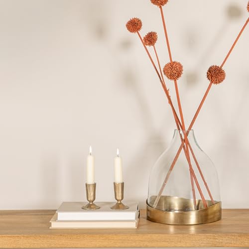 Creative Co-Op Sophisticated Glass Cloche with Metal Tray, Clear and Antique Brass - color: Antique Brass