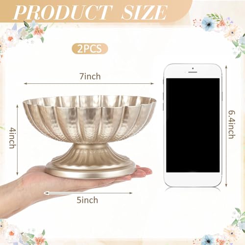 2 Pcs Metal Compote Bowl for Centerpiece Flower Holder Small Compote Vase Decorative Indoor Outdoor Flowers Fruits Plant for Valentine's Day Wedding Home Party Decoration (Silver) - color: Silver