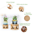 Set of 2 Small Boho Rattan Wicker Round Riser Plant Stand Indoor,Rustic Farmhouse Natural Wooden Circle Pedestal for Decor & Display, Tabletop, Office Decor - size: 6.0" & 8.0"