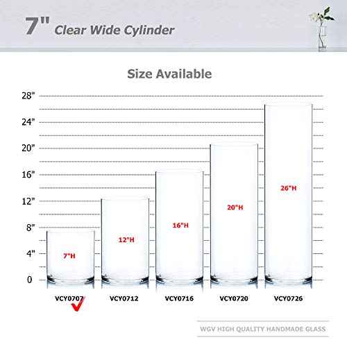WGV Cylinder Vase, Width 7", Height 7", Clear Wide Large Diameter Flower Glassware, Floral Container, Planter Terrarium for Wedding Party Event, Home Accent Decor, 1 Piece - size: 7"x7"H