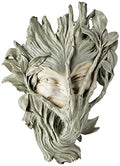 BASHFUL WOOD SPRITE PLAQUE