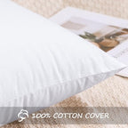 Artscope 14x36 Pillow Insert, Synthetic Down Lumbar Pillow Insert for Bed, Ultra Soft Decorative Long Throw Pillow Inserts for Living Room Couch Bed Sofa-White - size: 14x36 Inch (Pack of 1)