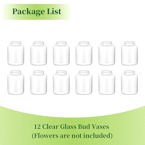 Hewory Small Bud Vases Set of 12: Clear Glass Vases for Flowers - Modern Bud Vase Bulk for Wedding Centerpieces Baby Shower Parties Rehearsal Dinner Table Decorations