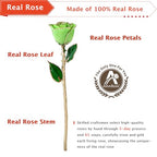 AliveRose Valentines Day Gift Rose, 24K Gold Dipped Rose Made from Real Rose - Unique Design Gold Plated Rose for Anniversary Valentines (Green Handmade Rose with Crystal Base) - color: A2. Green Handmade Rose White Crystal Vase