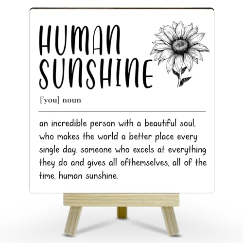 Home Office Decor, Human Sunshine Definition Desk Decor, Employee Appreciation Gifts, Admin Professionals Day Gifts, Teacher Mentor Gifts (MP08) - color: MP08