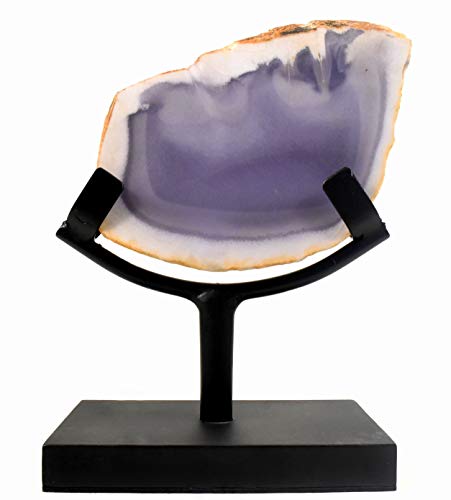 6.2" Display Stand for Slab/Slice/Fossil/Flat Minerals Base for Rocks Minerals and Crystals Black One Arm Two Prong Holder