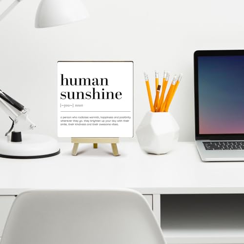 Home Office Decor, Human Sunshine Definition Desk Decor, Employee Appreciation Gifts, Admin Professionals Day Gifts, Teacher Mentor Gifts (MP09), Wood - color: MP09