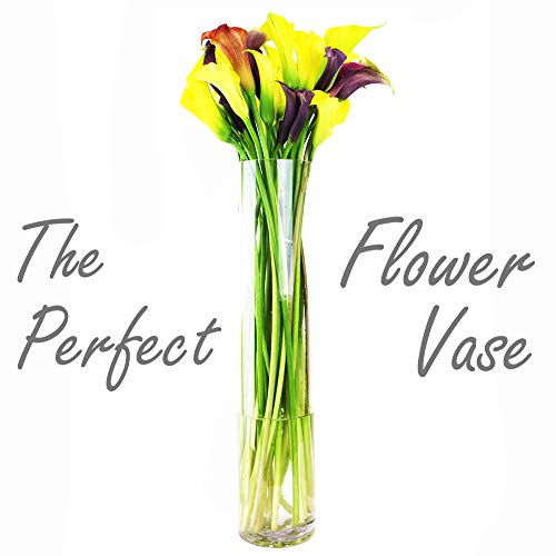 CYS EXCEL Cylinder Clear Glass Vase (H:26" D:6") | Multiple Size Choices Glass Flower Vase Centerpieces | Hurricane Floating Candle Holder Vase - size: H-26" D-6"