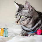 Andibro 2Pcs Cat Whisker Vase, Mini Vases for Flowers Miniature Vase Small Glass Vases Cat Whisker Holder Cat Memorial Gifts for Dog Or Cat Hair Keepsake Micro Landscape DIY Ornament (Green + Yellow)