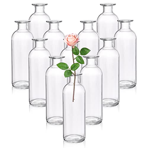 Peohud Set of 12 Glass Bud Vases, Clear Small Flower Vases, Decorative Glass Bottles Floral Vases for Home Decor, Wedding Reception, Party