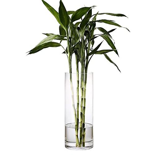 DARENYI Clear Glass Vase for Flowers, 12 inches Tall Cylinder Vase Decorative for Centerpiece, Living Room, Floating Candle, Office, Wedding or Gifts