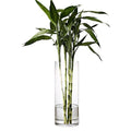 DARENYI Clear Glass Vase for Flowers, 12 inches Tall Cylinder Vase Decorative for Centerpiece, Living Room, Floating Candle, Office, Wedding or Gifts