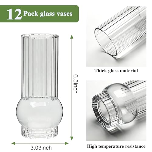 Brajttt Clear Glass Cylinder Vases，6.5 Inch Small Ribbed Flower Vases for Bouquet, Multi-Use Vase for Flowers & Drinking Glasses Set of 12,Tall Glass Vases for Home Decor, Weddings, Parties