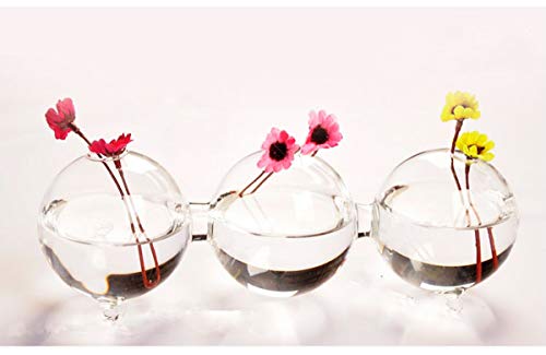 Clear Glass Bud Vase Cute Flower Vase for Short Plant Mother's Day Wedding Centerpiece Home Decoration Floral Arrangements Holder (3.15")