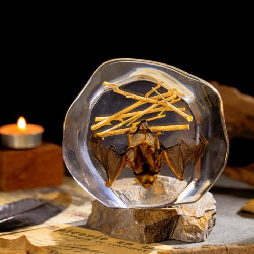 Real Hanging Bat Specimen in Resin - Authentic Taxidermy Displaying Natural Behavior, Perfect for Science Education, Oddities Collectors, and Unique Art Decor - color: Inverted Bat Specimen