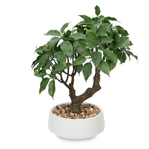 Artificial Bonsai Tree, Small Ficus Bonsai Tree 13" Indoor Bonsai Tree Fake Potted Plant Decorative Fake Desk Plant Decor with Ceramic Pot for Home Office Living Room Bedroom Bathroom Table Shelf - style: Chinese