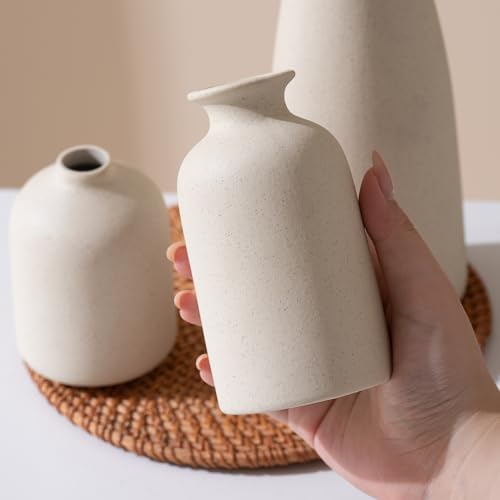 Ceramic Small Vase Set of 3,Modern Boho Farmhouse Home Decor,Pampas Grass Vase,Minimalist Decor,for Entryway Table,Bookshelf,Living Room, Bedroom,Kitchen,Coffee Table Decoration (White) - color: Beige Set 3
